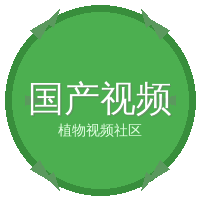 国产视频